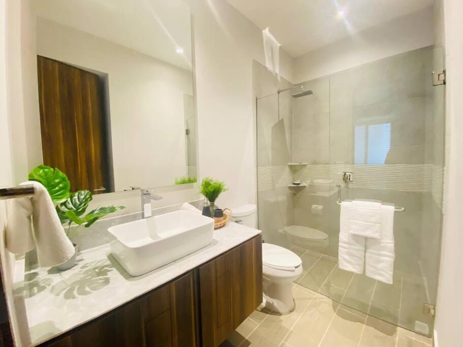 New Versalles Unit With Rooftop Pool Apartamento *